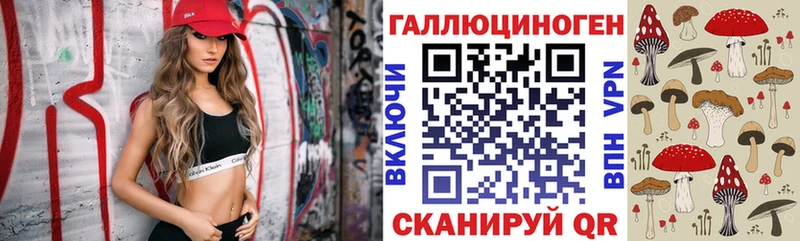 OMG ONION  где найти   Заозёрск  Галлюциногенные грибы Cubensis 